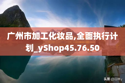 广州市加工化妆品,全面执行计划_yShop45.76.50