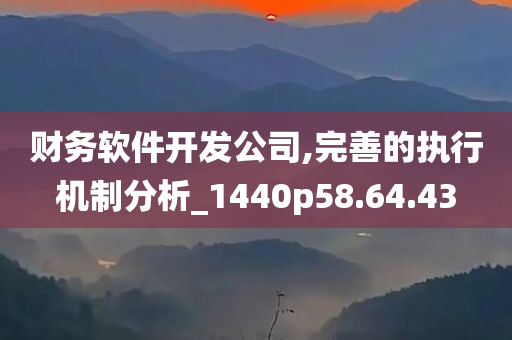 财务软件开发公司,完善的执行机制分析_1440p58.64.43