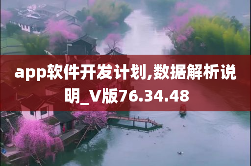 app软件开发计划,数据解析说明_V版76.34.48