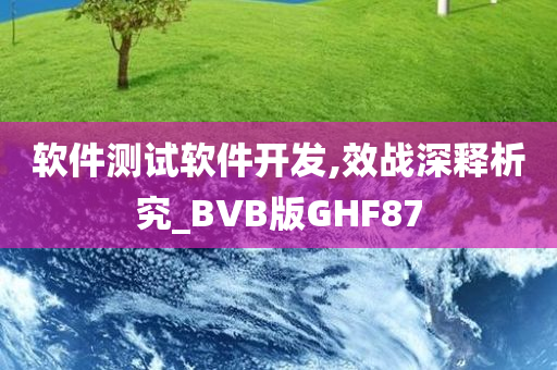 软件测试软件开发,效战深释析究_BVB版GHF87