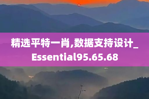 精选平特一肖,数据支持设计_Essential95.65.68