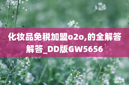 化妆品免税加盟o2o,的全解答解答_DD版GW5656