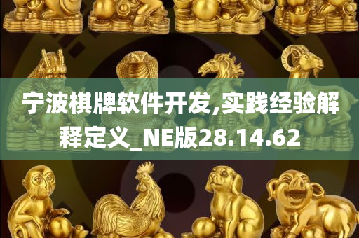 宁波棋牌软件开发,实践经验解释定义_NE版28.14.62