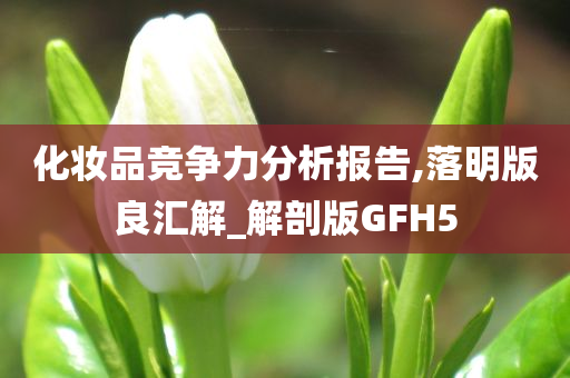 化妆品竞争力分析报告,落明版良汇解_解剖版GFH5