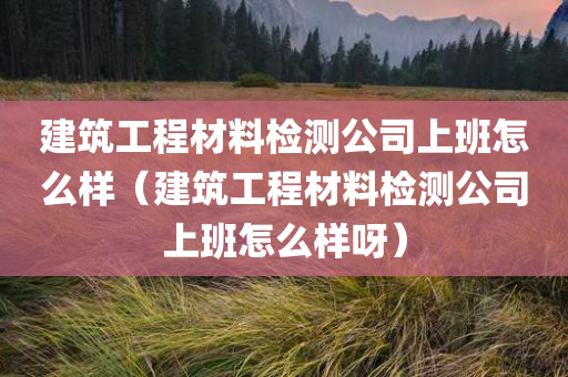 建筑工程材料检测公司上班怎么样（建筑工程材料检测公司上班怎么样呀）