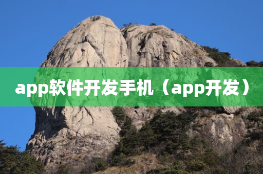 app软件开发手机（app开发）