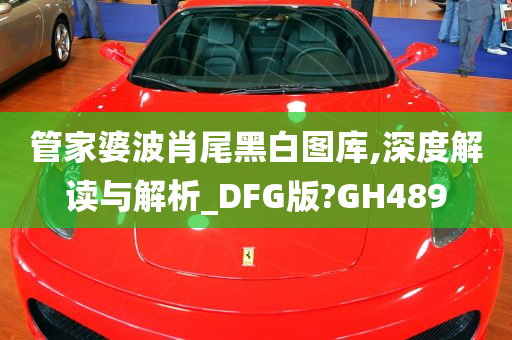 管家婆波肖尾黑白图库,深度解读与解析_DFG版?GH489