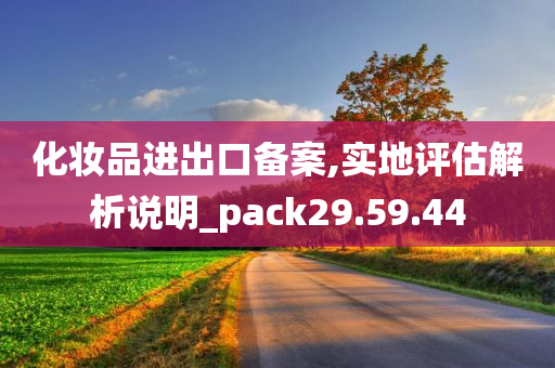 化妆品进出口备案,实地评估解析说明_pack29.59.44