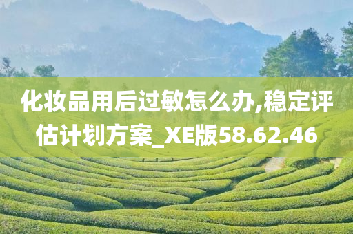 化妆品用后过敏怎么办,稳定评估计划方案_XE版58.62.46