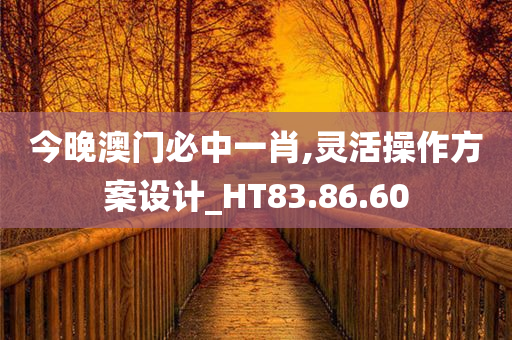 今晚澳门必中一肖,灵活操作方案设计_HT83.86.60