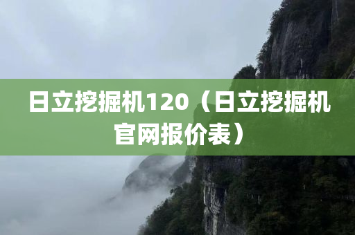 日立挖掘机120（日立挖掘机官网报价表）