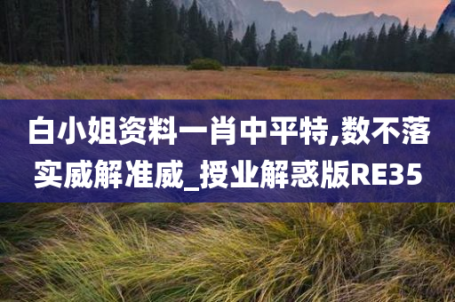 白小姐资料一肖中平特,数不落实威解准威_授业解惑版RE35