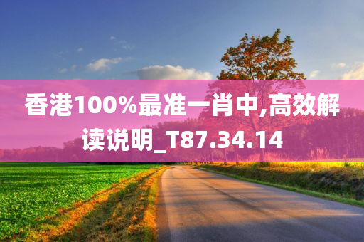 香港100%最准一肖中,高效解读说明_T87.34.14