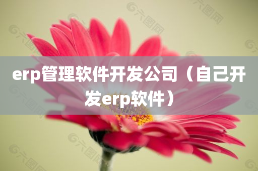 erp管理软件开发公司（自己开发erp软件）