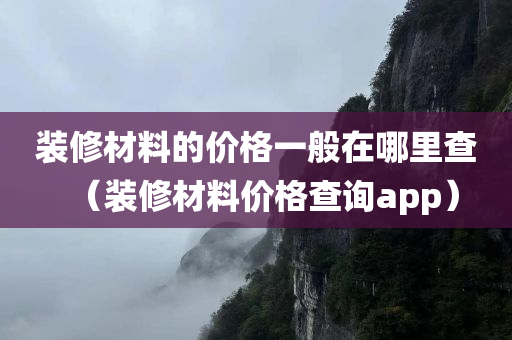 装修材料的价格一般在哪里查（装修材料价格查询app）