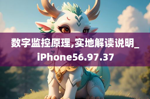 数字监控原理,实地解读说明_iPhone56.97.37