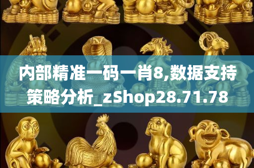 内部精准一码一肖8,数据支持策略分析_zShop28.71.78