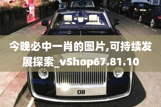 今晚必中一肖的图片,可持续发展探索_vShop67.81.10