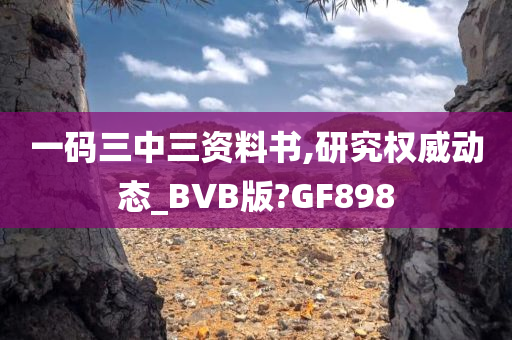 一码三中三资料书,研究权威动态_BVB版?GF898