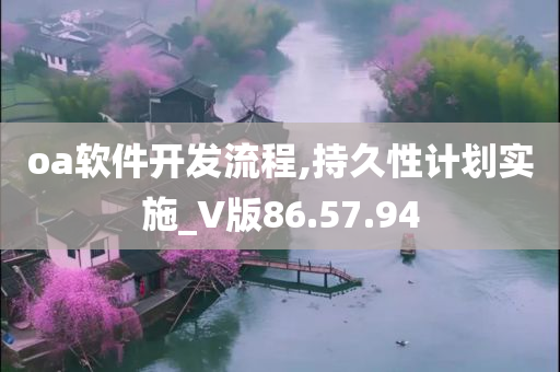 oa软件开发流程,持久性计划实施_V版86.57.94