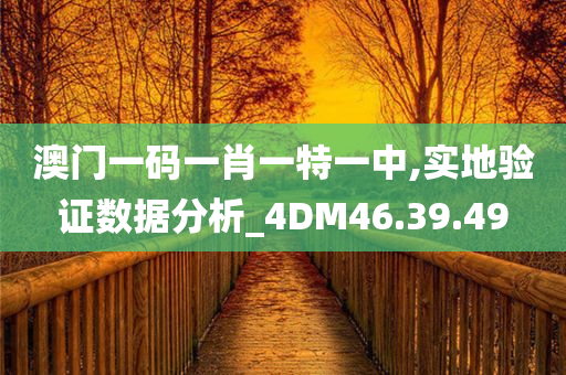 澳门一码一肖一特一中,实地验证数据分析_4DM46.39.49