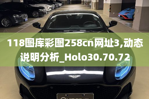 118图库彩图258cn网址3,动态说明分析_Holo30.70.72