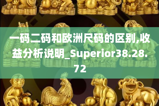 一码二码和欧洲尺码的区别,收益分析说明_Superior38.28.72