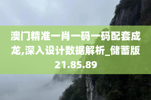 澳门精准一肖一码一码配套成龙,深入设计数据解析_储蓄版21.85.89