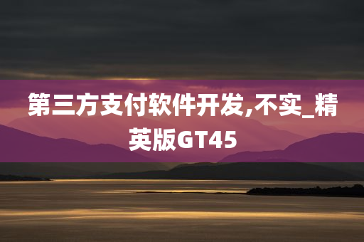 第三方支付软件开发,不实_精英版GT45