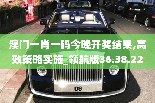 澳门一肖一码今晚开奖结果,高效策略实施_领航版36.38.22