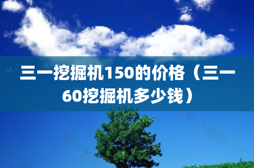 三一挖掘机150的价格（三一60挖掘机多少钱）