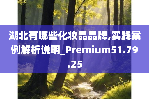 湖北有哪些化妆品品牌,实践案例解析说明_Premium51.79.25