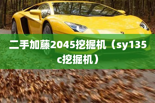 二手加藤2045挖掘机（sy135c挖掘机）