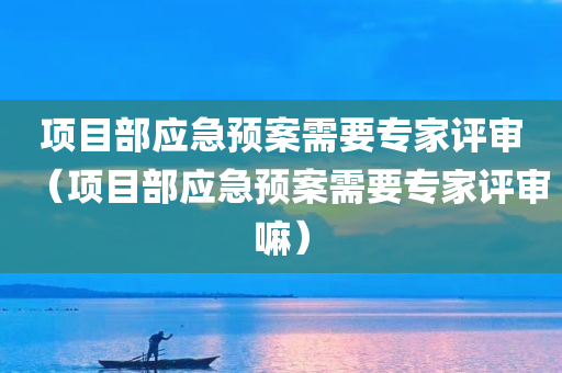 项目部应急预案需要专家评审（项目部应急预案需要专家评审嘛）