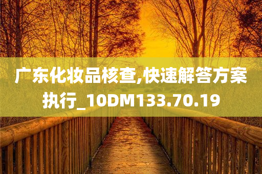 广东化妆品核查,快速解答方案执行_10DM133.70.19