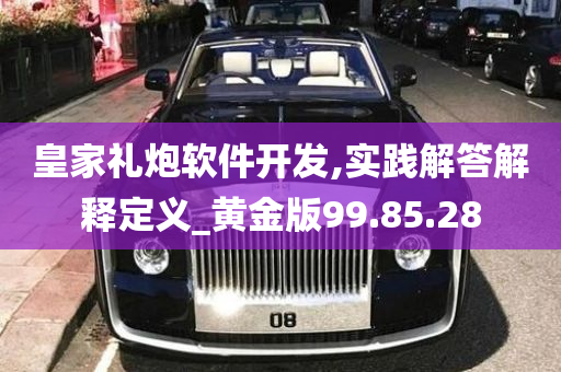 皇家礼炮软件开发,实践解答解释定义_黄金版99.85.28