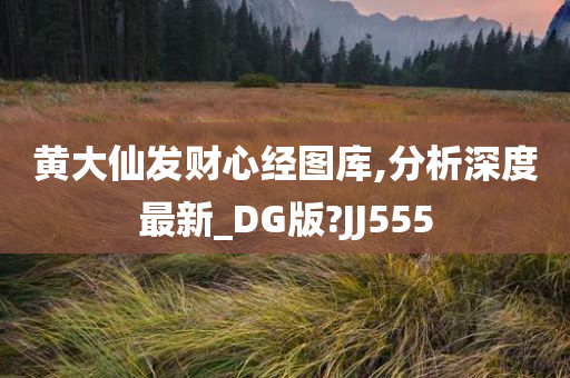 黄大仙发财心经图库,分析深度最新_DG版?JJ555