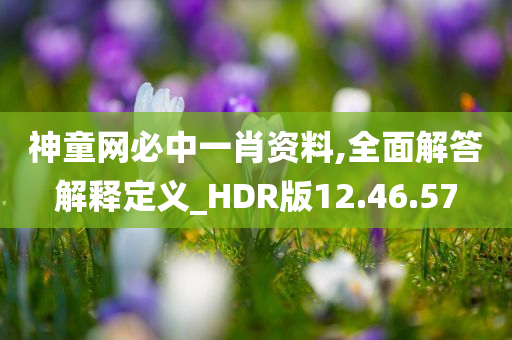 神童网必中一肖资料,全面解答解释定义_HDR版12.46.57