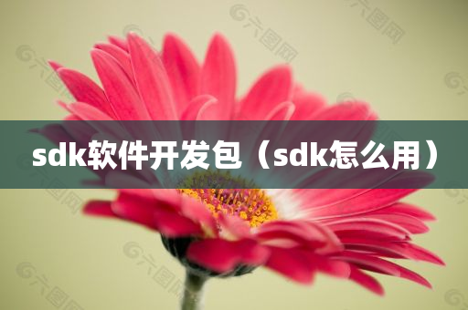 sdk软件开发包（sdk怎么用）