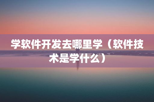 学软件开发去哪里学（软件技术是学什么）