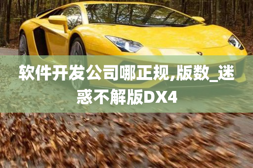 软件开发公司哪正规,版数_迷惑不解版DX4