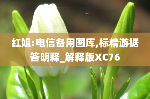 红姐:电信备用图库,标精游据答明释_解释版XC76