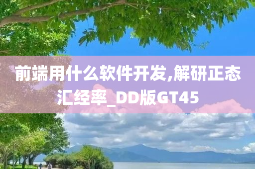 前端用什么软件开发,解研正态汇经率_DD版GT45