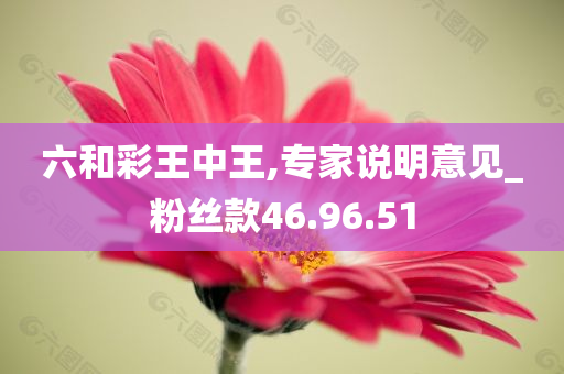 六和彩王中王,专家说明意见_粉丝款46.96.51