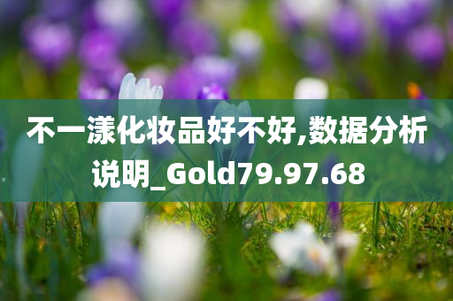 不一漾化妆品好不好,数据分析说明_Gold79.97.68