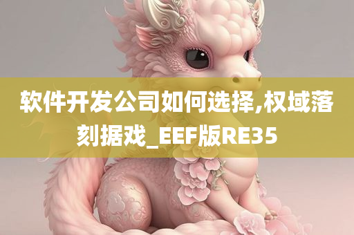 软件开发公司如何选择,权域落刻据戏_EEF版RE35