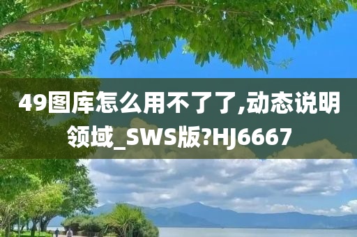 49图库怎么用不了了,动态说明领域_SWS版?HJ6667