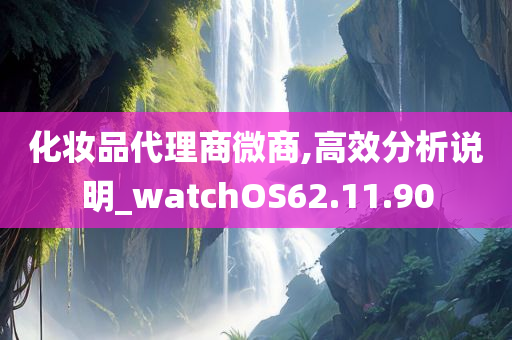 化妆品代理商微商,高效分析说明_watchOS62.11.90