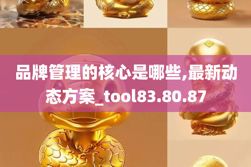 品牌管理的核心是哪些,最新动态方案_tool83.80.87