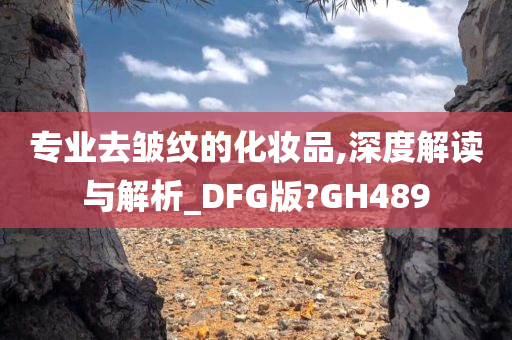 专业去皱纹的化妆品,深度解读与解析_DFG版?GH489